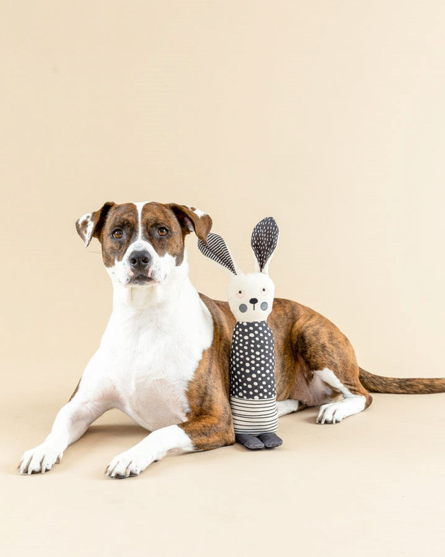 Dog Toy product image 3