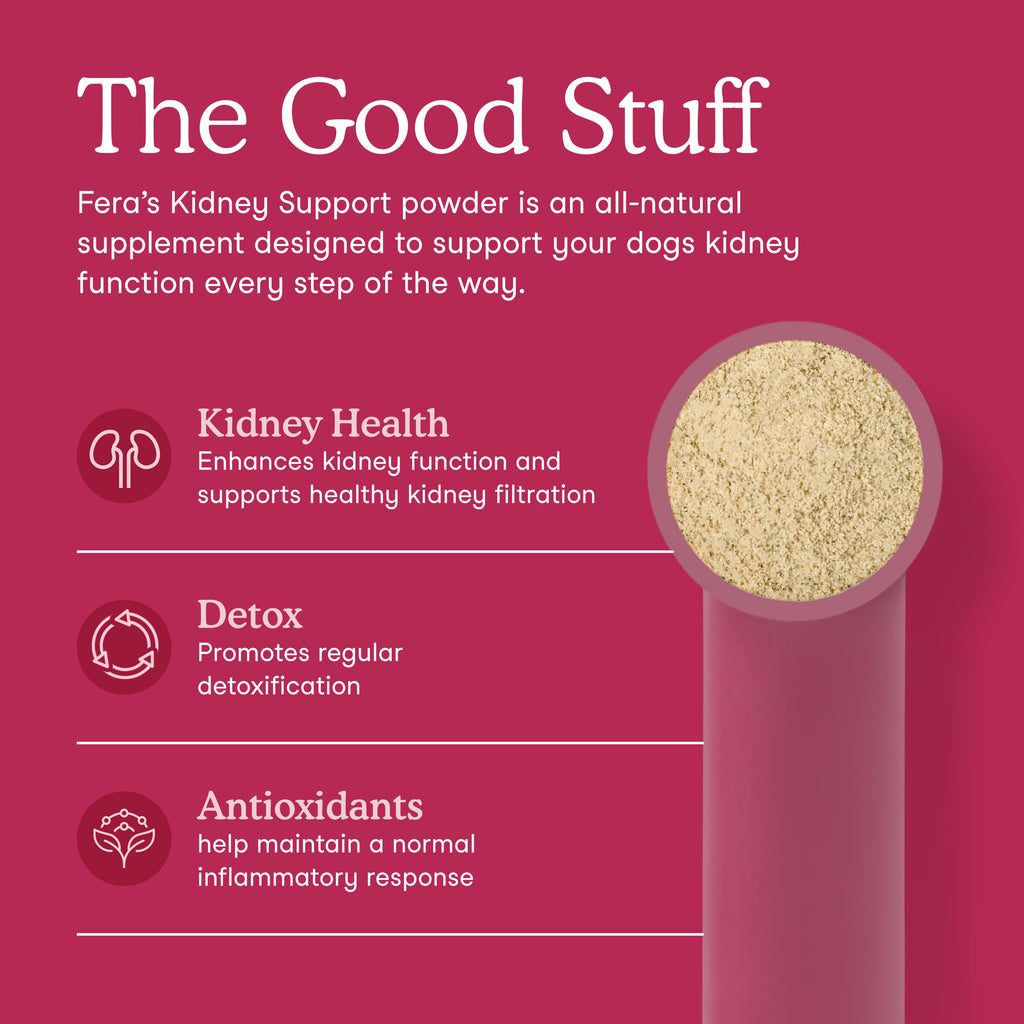 Kidney Support product image 2