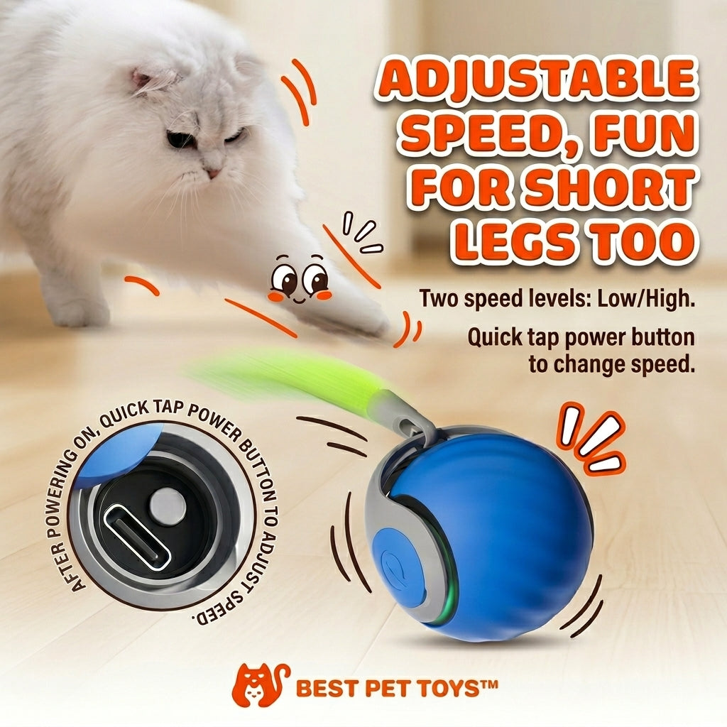 Interactive Pet Ball Toy product image 6