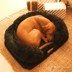 Orthopedic Dog Bed product image 2