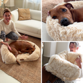 Orthopedic Dog Bed product image 4