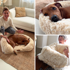 Orthopedic Dog Bed product image 4