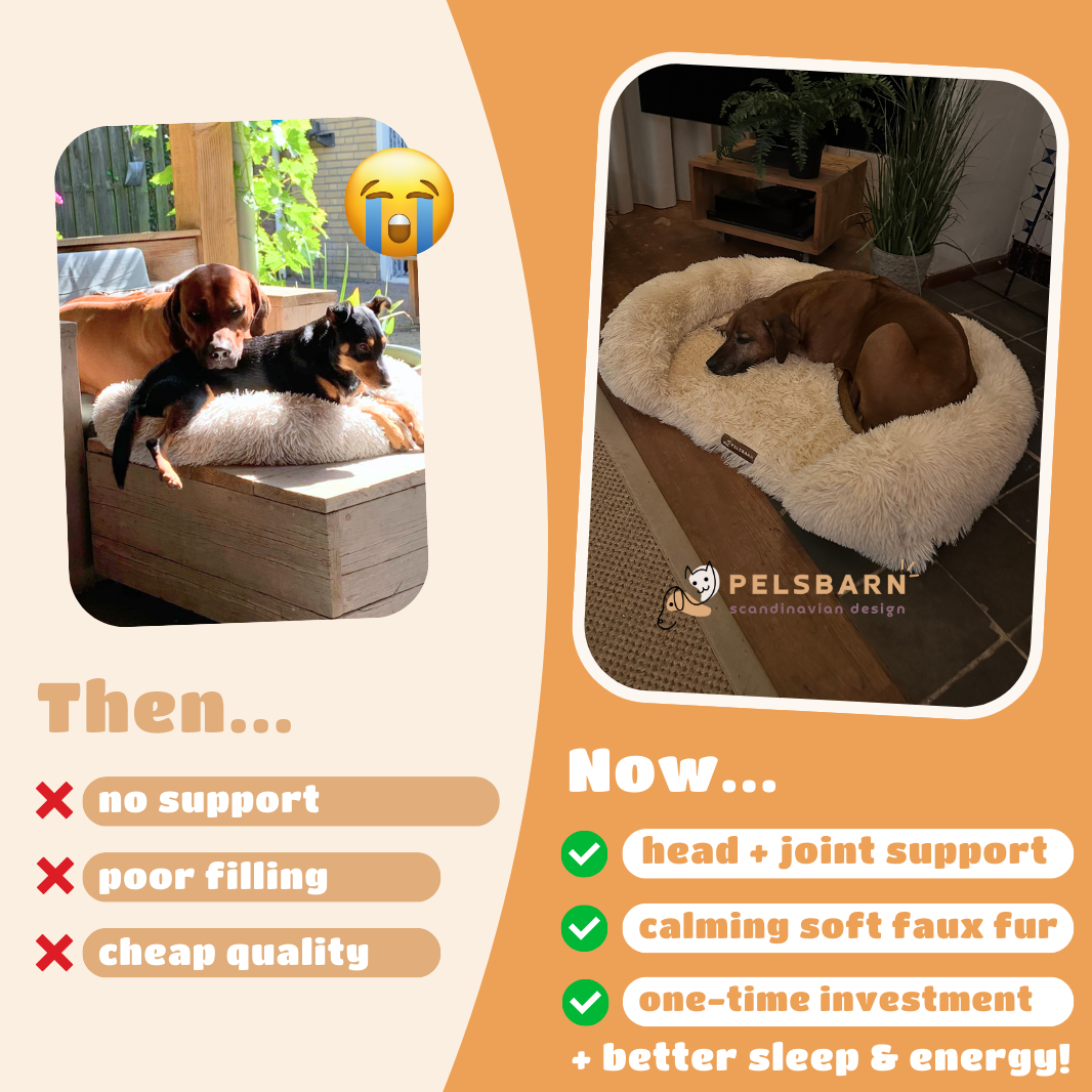 Orthopedic Dog Bed product image 5