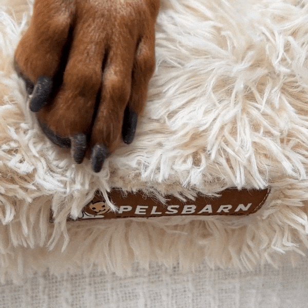 Orthopedic Dog Bed product image 6