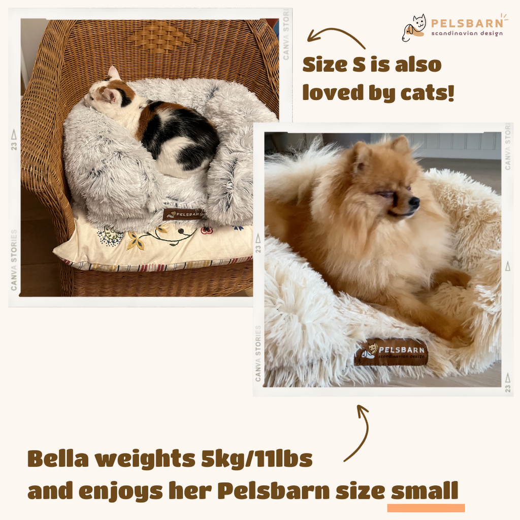 Orthopedic Dog Bed product image 9
