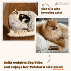 Orthopedic Dog Bed product image 9