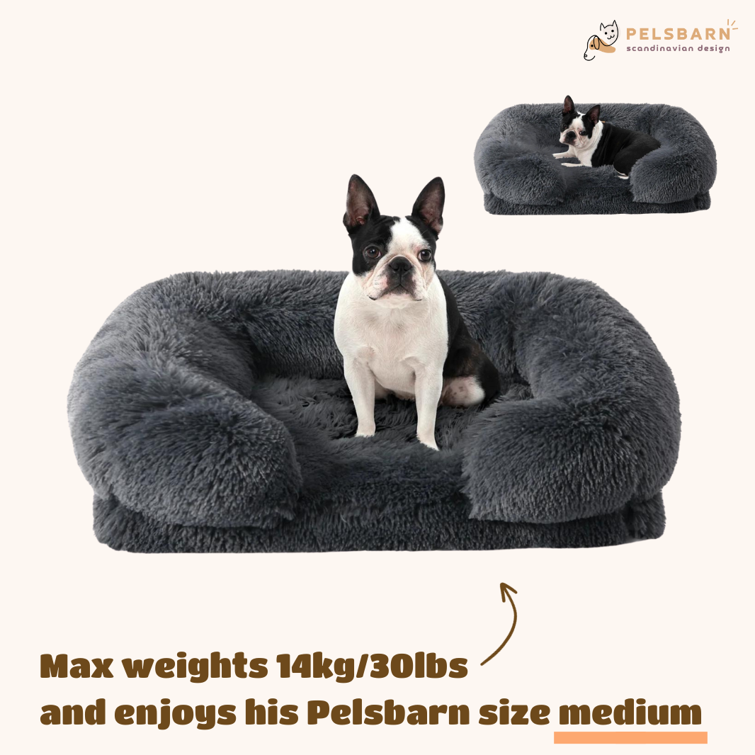 Orthopedic Dog Bed product image 10