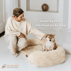 Orthopedic Dog Bed product image 15