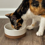 Ceramic Pet Bowl product image 2