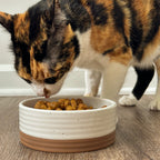 Ceramic Pet Bowl product image 3