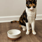 Ceramic Pet Bowl product image 4