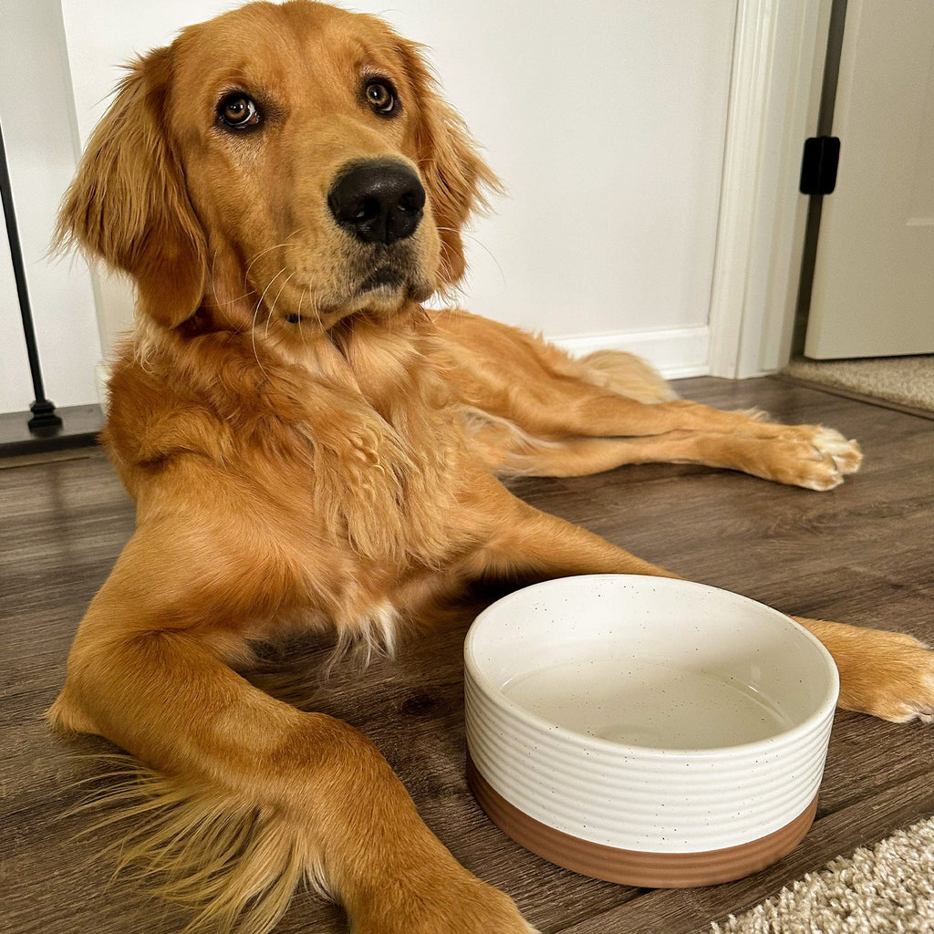 Ceramic Pet Bowl product image 6