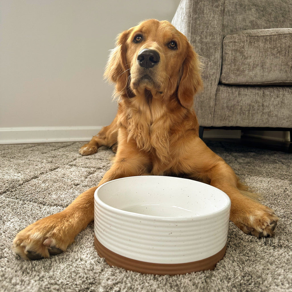 Ceramic Pet Bowl product image 7