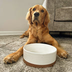 Ceramic Pet Bowl product image 7