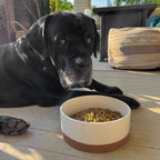 Ceramic Pet Bowl product image 10