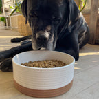 Ceramic Pet Bowl product image 12