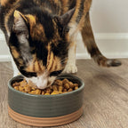 Ceramic Pet Bowl product image 15