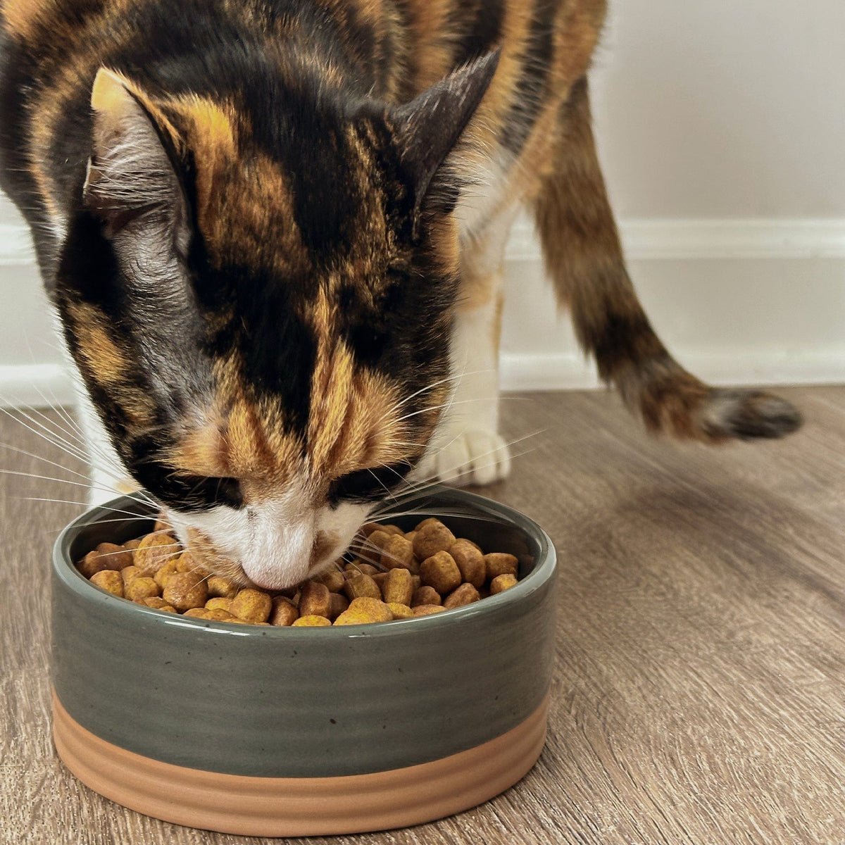 Ceramic Pet Bowl product image 15