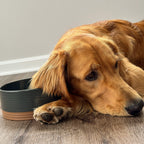 Ceramic Pet Bowl product image 18