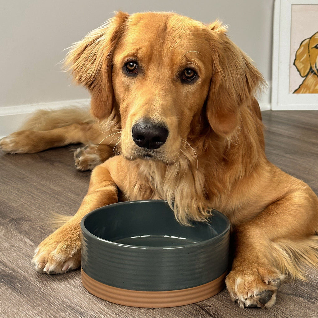 Ceramic Pet Bowl product image 19