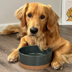 Ceramic Pet Bowl product image 19