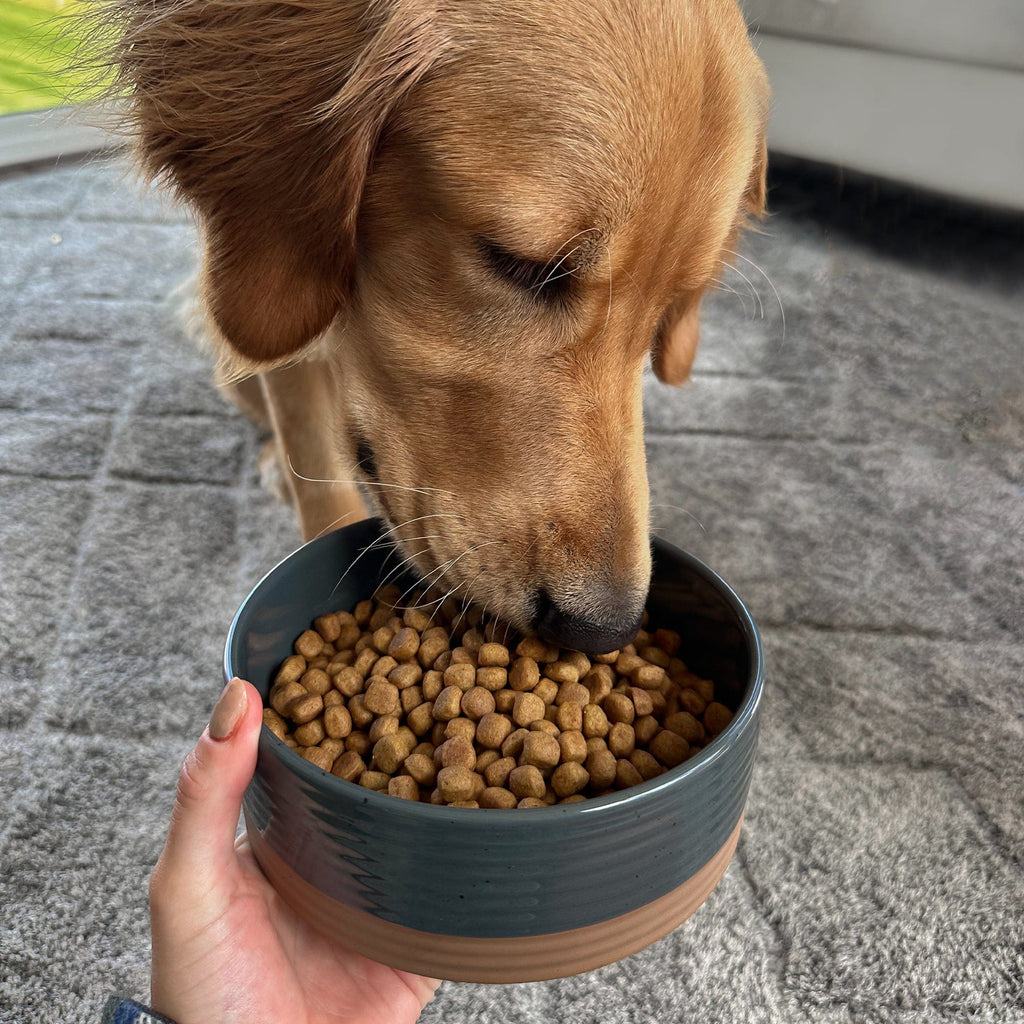Ceramic Pet Bowl product image 20
