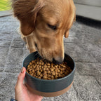 Ceramic Pet Bowl product image 20
