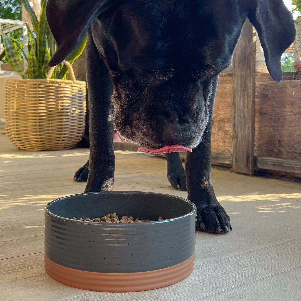 Ceramic Pet Bowl product image 22