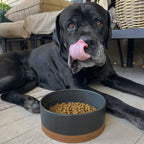 Ceramic Pet Bowl product image 24