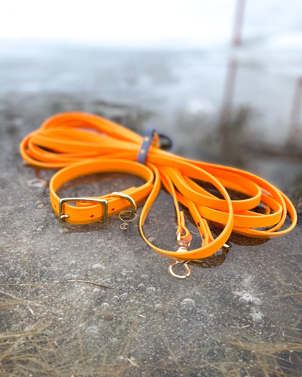 Biothane Dog Training Long Line product image 9