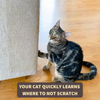 Transparent Cat Furniture Scratch Protectors product image 4