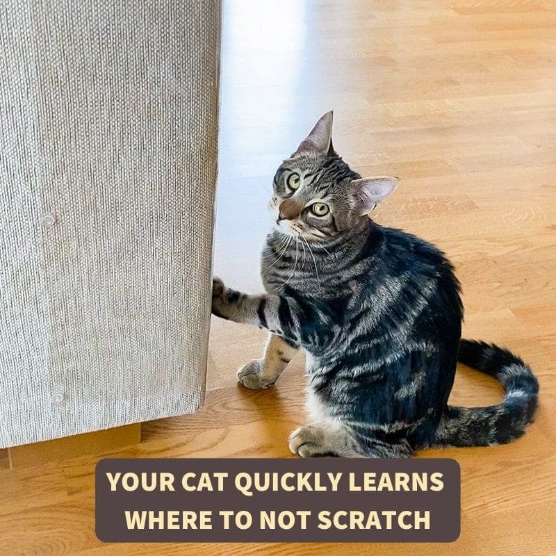 Transparent Cat Furniture Scratch Protectors product image 4