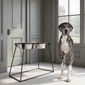 Elevated Dog Bowl Stand product image 1