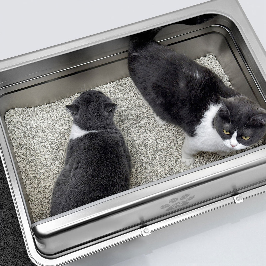XXL stainless steel litter box providing room for two cats