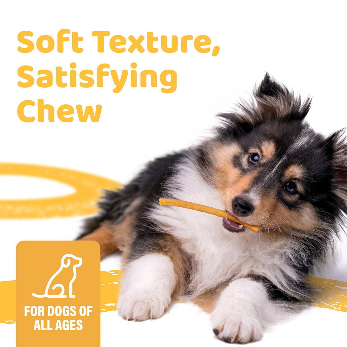Turkey Tendon Dog Chew product image 3