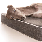 Orthopaedic Dog Bed product image 5