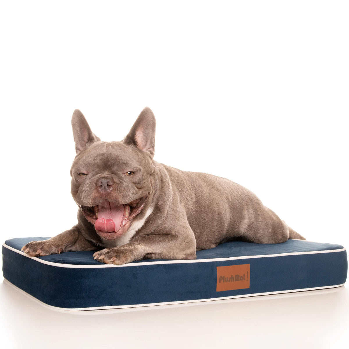 Orthopaedic Dog Bed product image 6