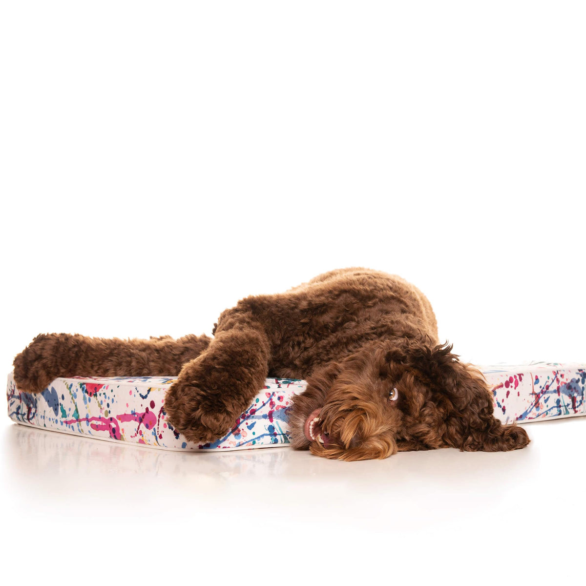 Orthopaedic Dog Bed product image 18