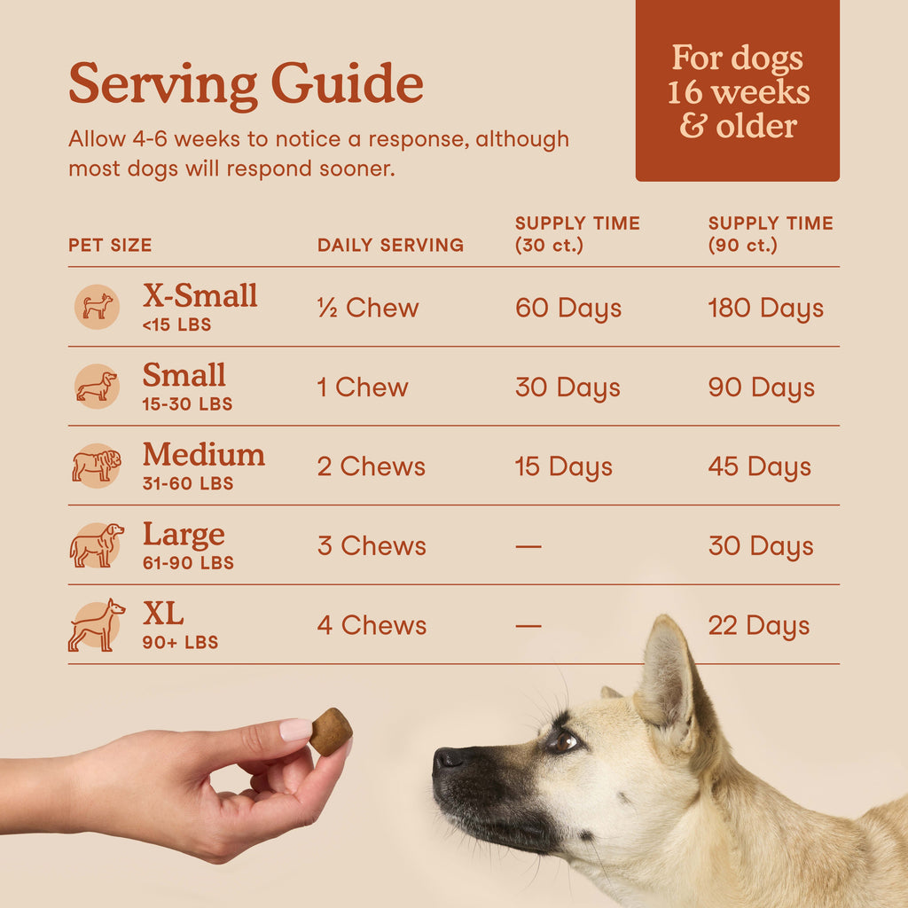 Dog Probiotic Soft Chew product image 4