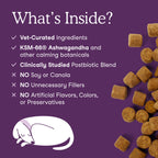 Dog Calming Soft Chew Supplement product image 3