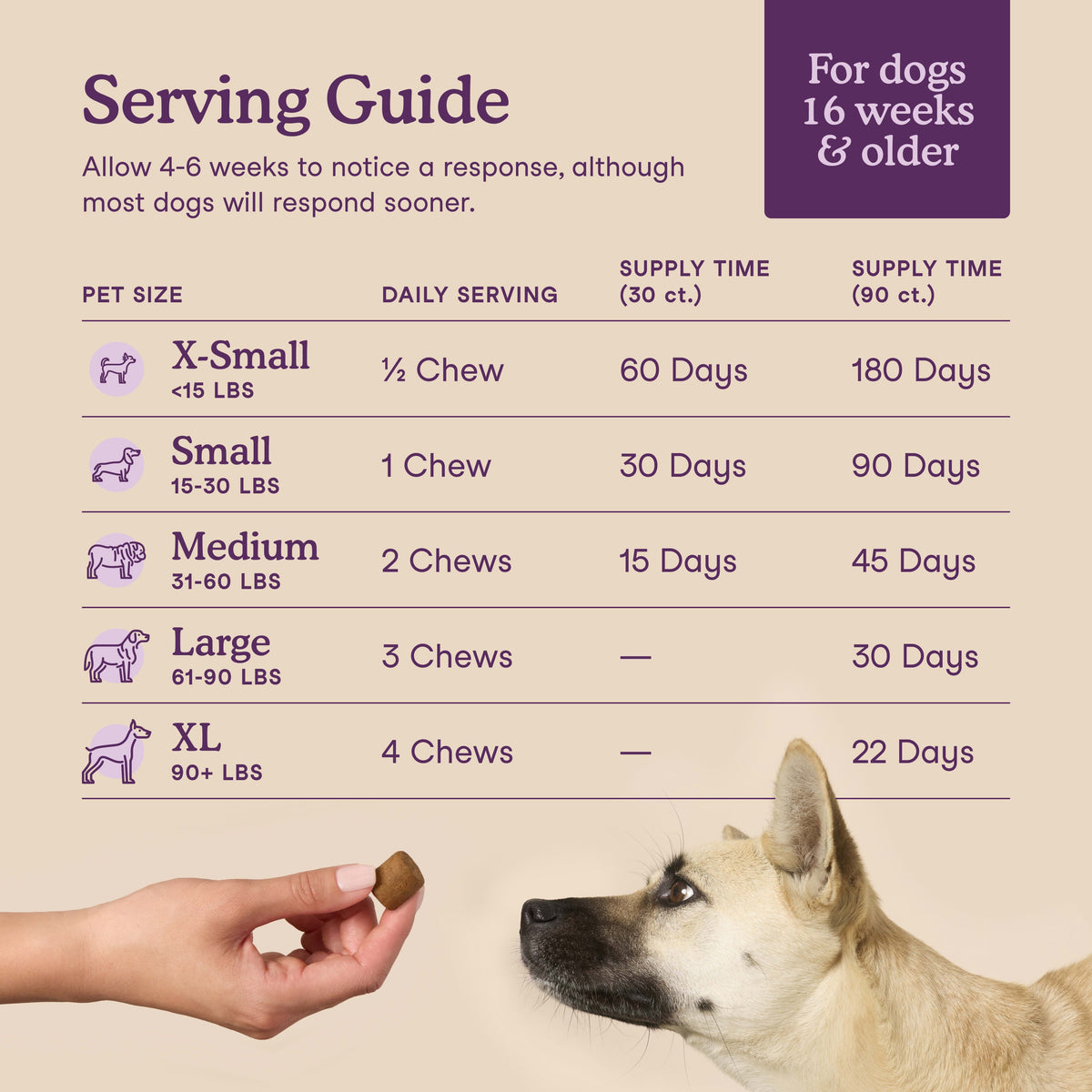Dog Calming Soft Chew Supplement product image 4