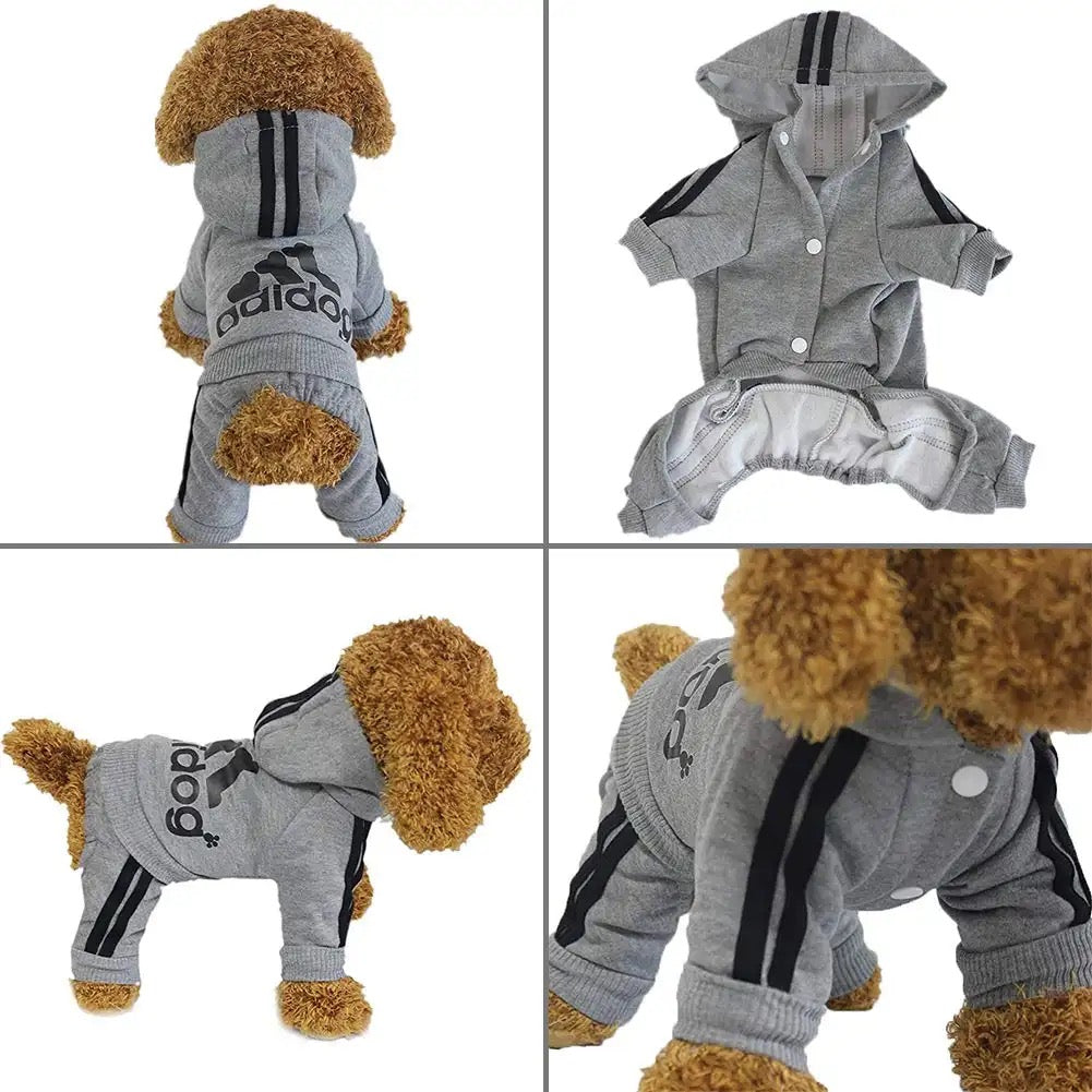 Dog Hoodie Pants Set product image 1