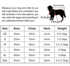 Dog Hoodie Pants Set product image 2
