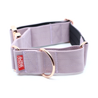 Martingale Dog Collar product image 1