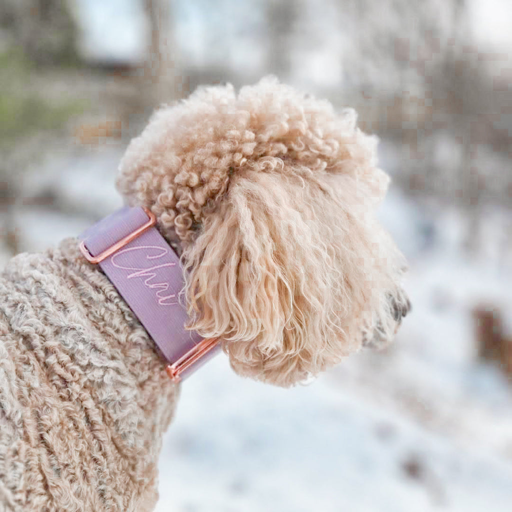Martingale Dog Collar product image 4