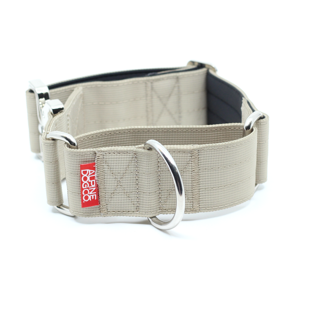 Martingale Dog Collar product image 1
