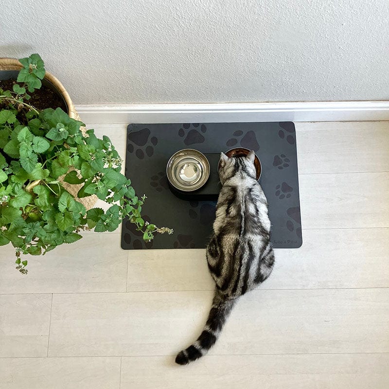 Pet Feeding Mat product image 4