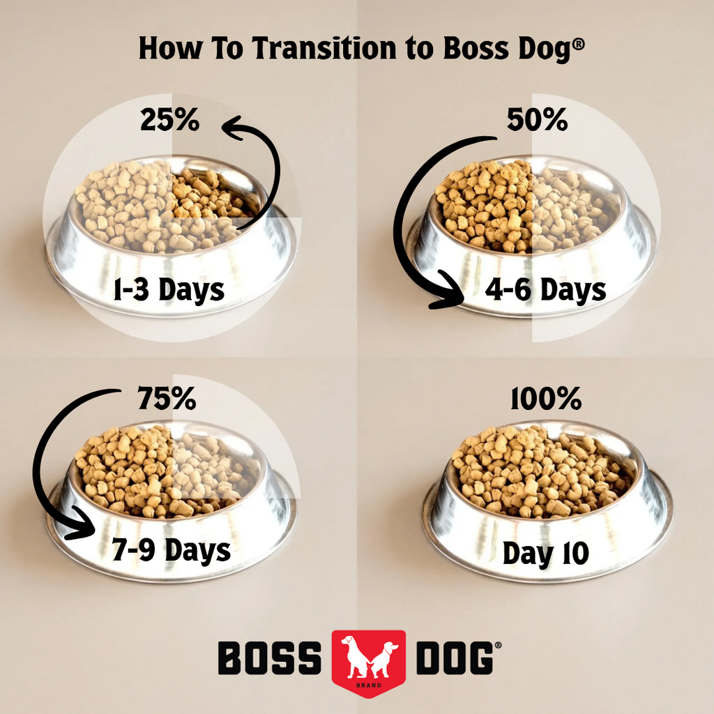Freeze-Dried Dog Food product image 4