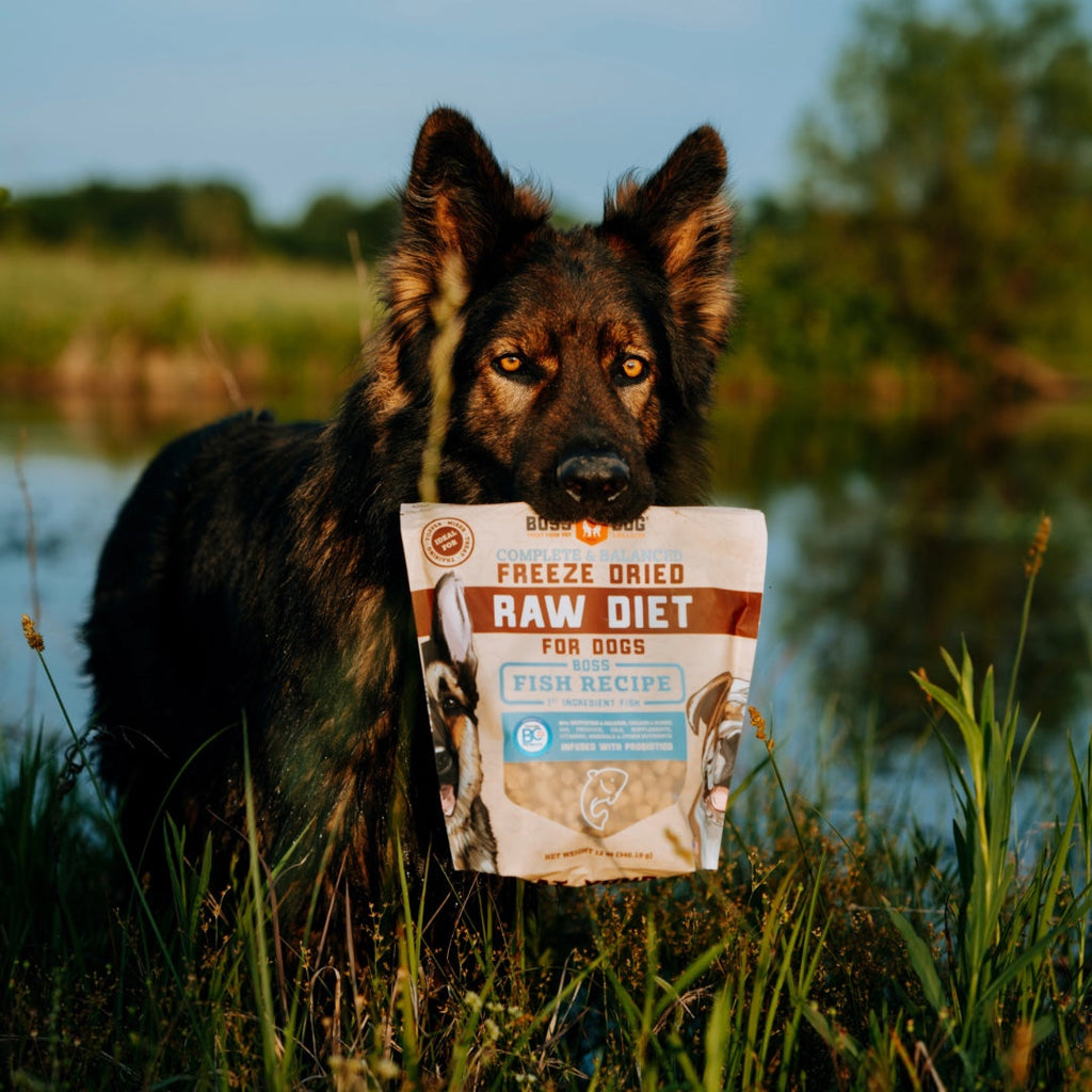 Freeze-Dried Dog Food product image 25