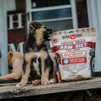 Freeze-Dried Dog Food product image 28